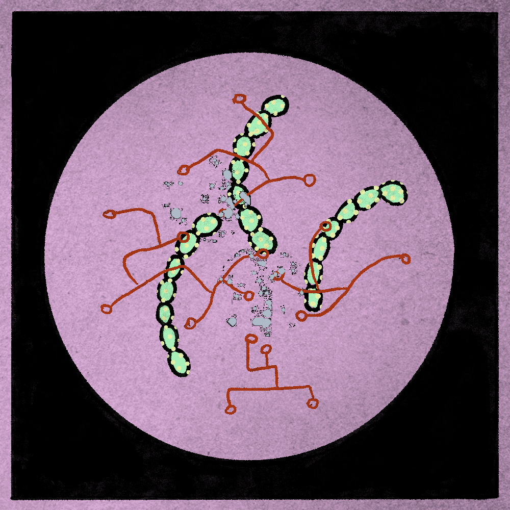 Microbes #26 static token preview