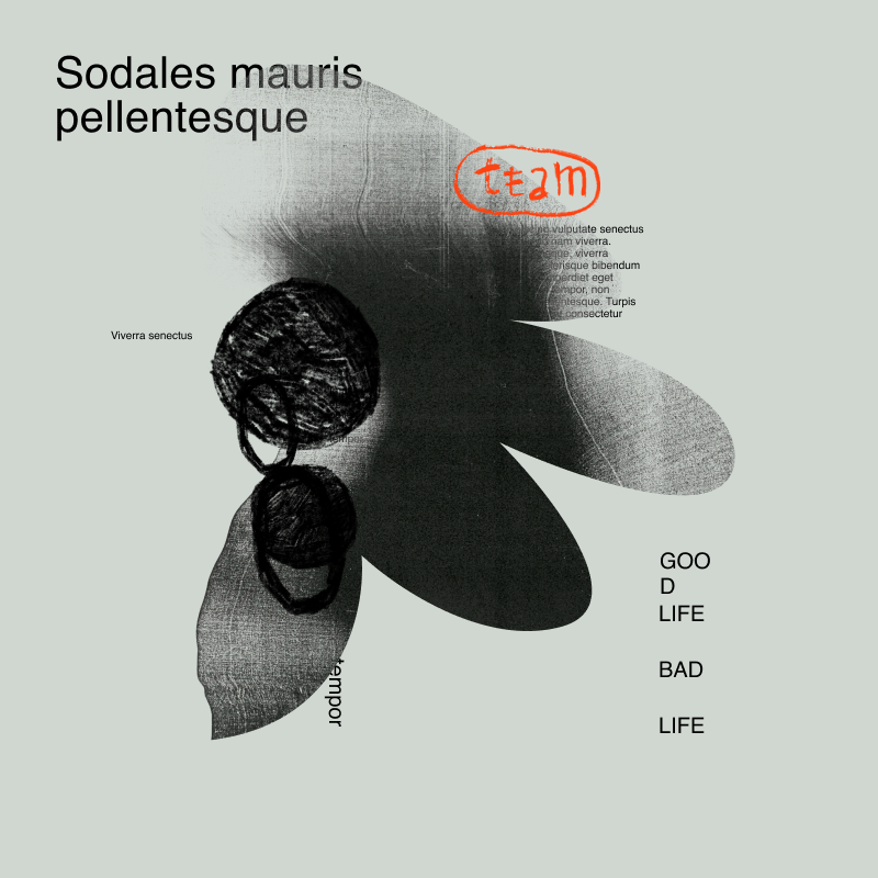 Generative poster - Feathers #56 static NFT preview