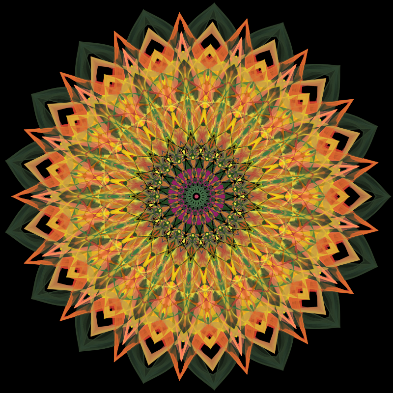 Morphing Mandala - #fxhashturnsone charity #52 static token preview