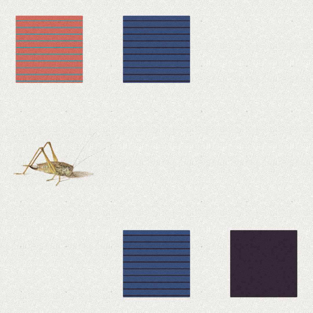 Grasshopper #41 static NFT preview