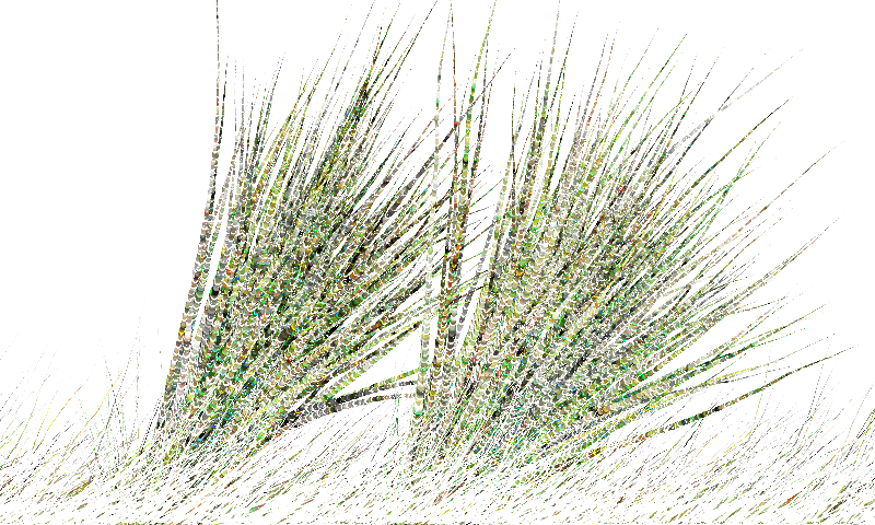 Sketches:Pairs of Tails:Majestic Creatures #26 static token preview