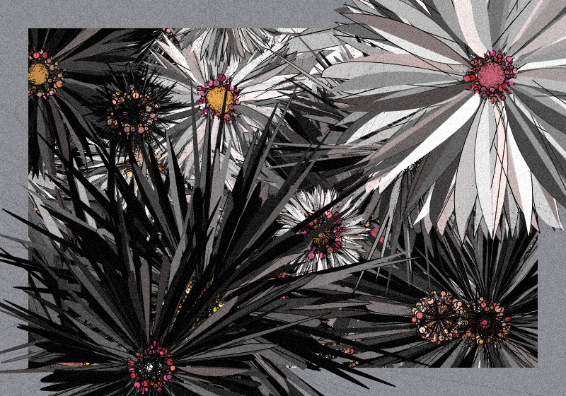 Love & Wild #216 static token preview