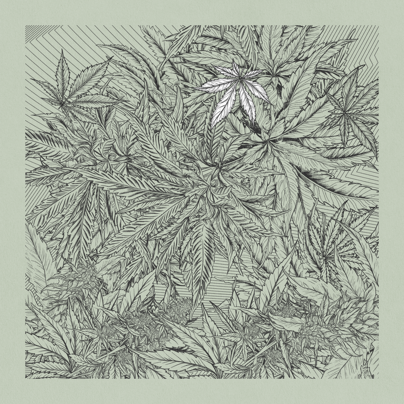 zancannabis #243 static NFT preview