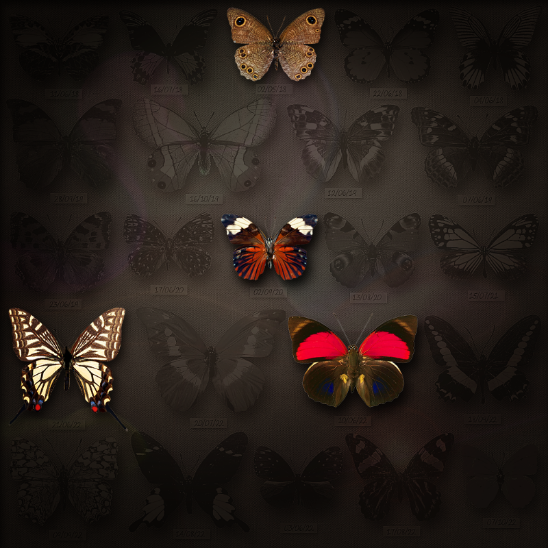 Save Butterfly World #27 static token preview
