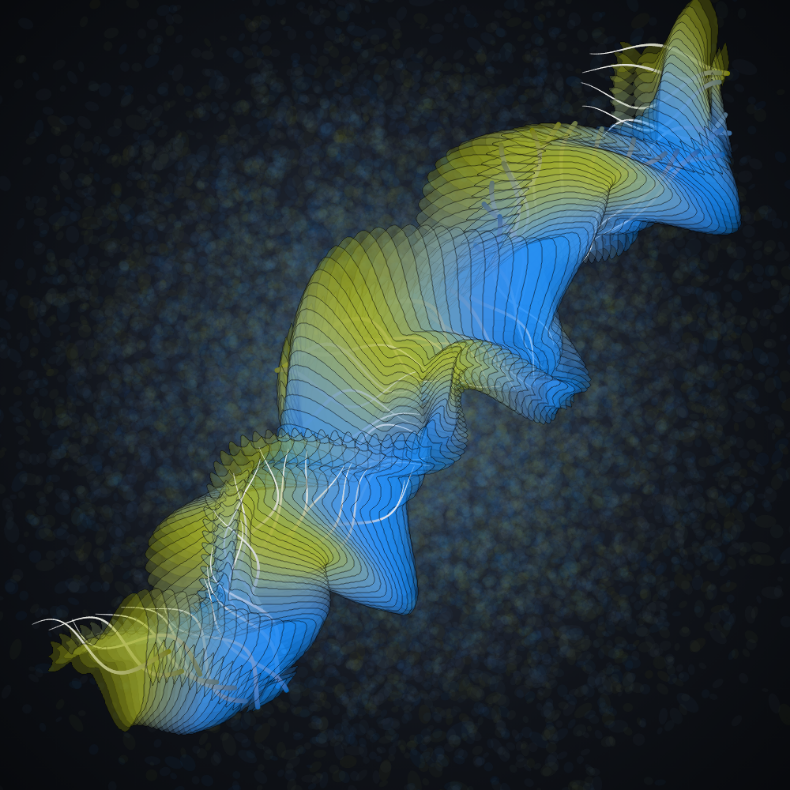 Flimsy #50 static NFT preview