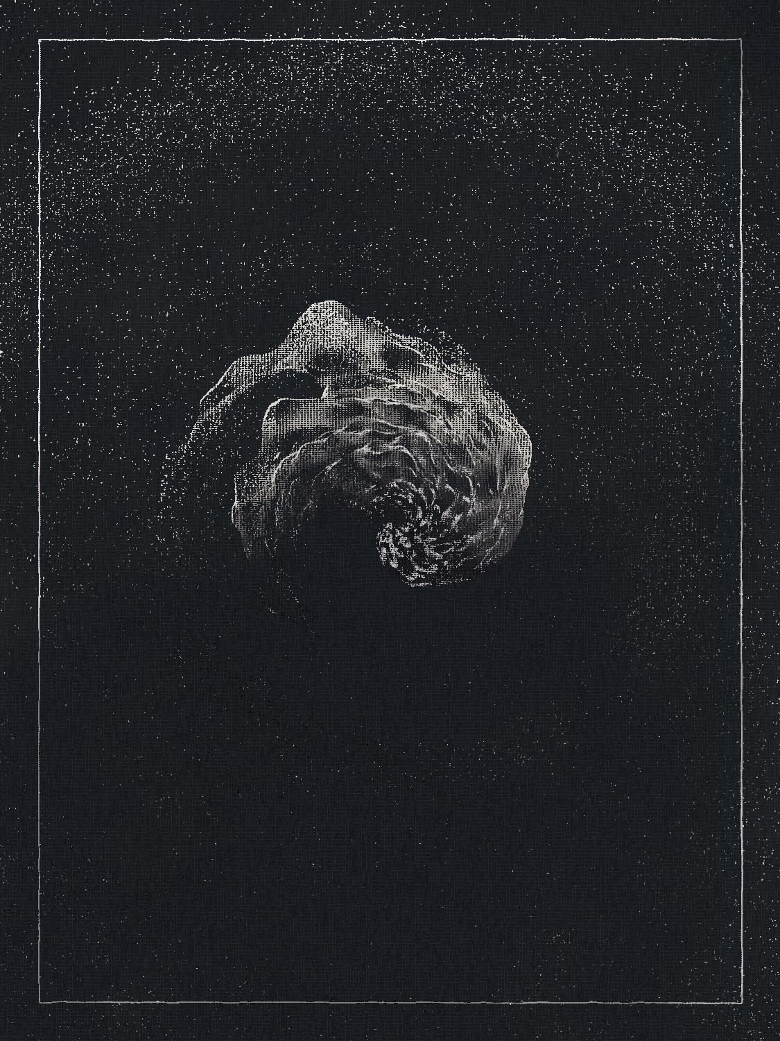 Asterium #325 static NFT preview