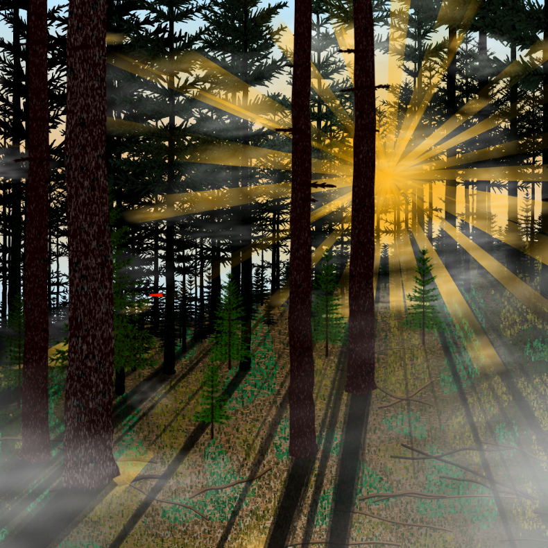 Forest Sunrise #41 static token preview