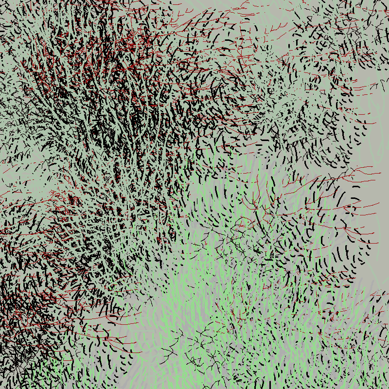 a bird worked on my painting #49 static token preview