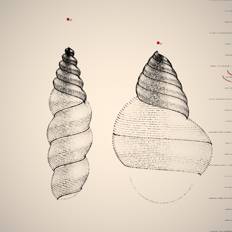 Two Specimen #309 static NFT preview
