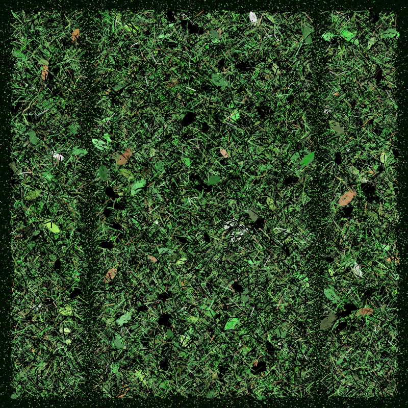 Into the Forestland #64 static NFT preview
