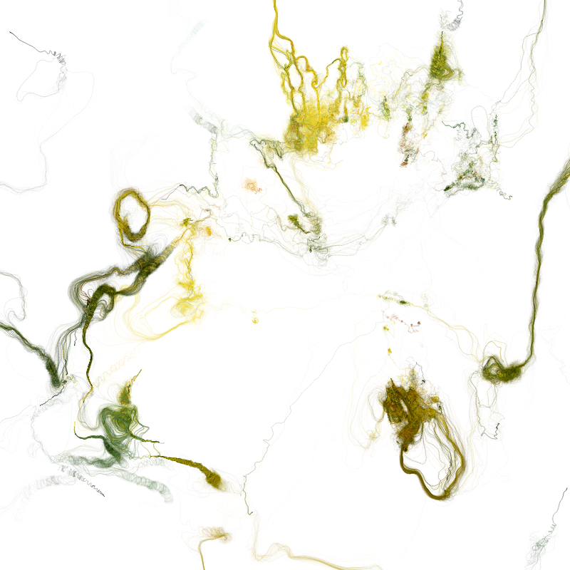 Hypericum #227 static NFT preview