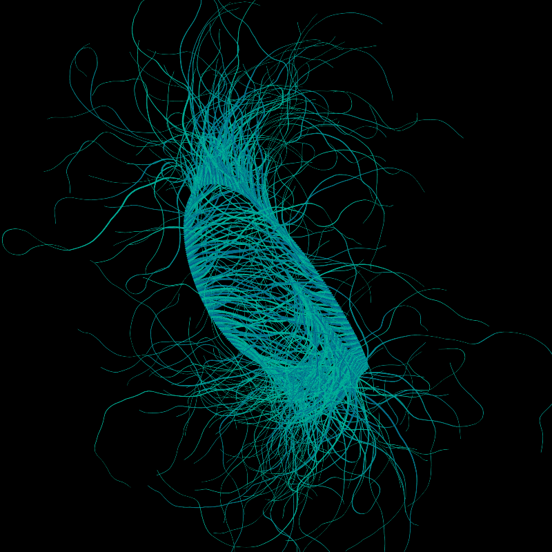 365 Tentacles #227 static token preview