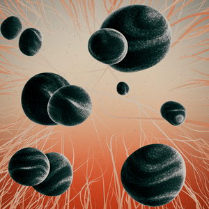 Reverberations project preview