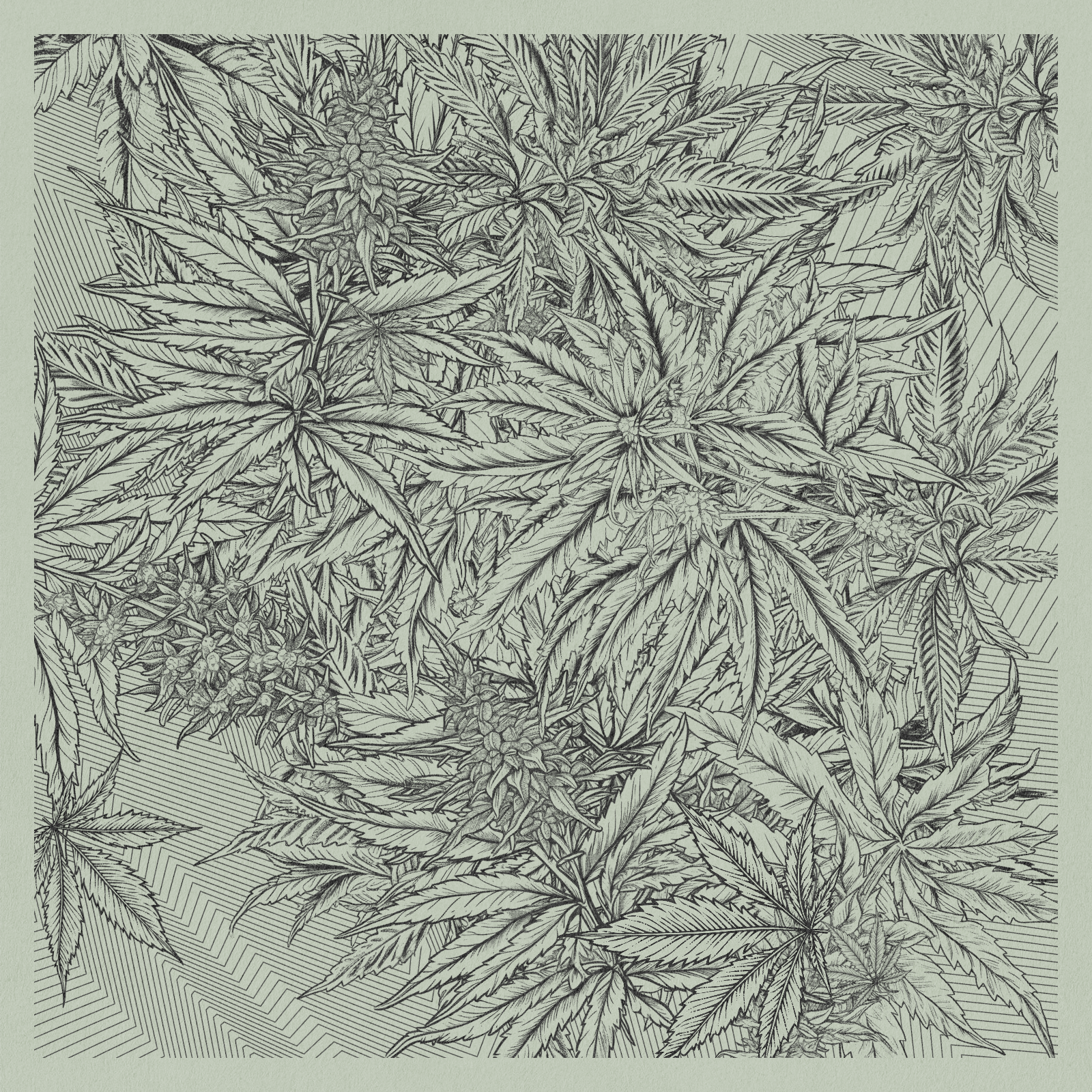 zancannabis #362 static NFT preview