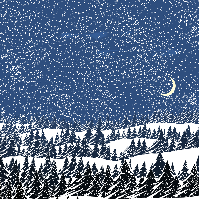 Winterland #134 static token preview