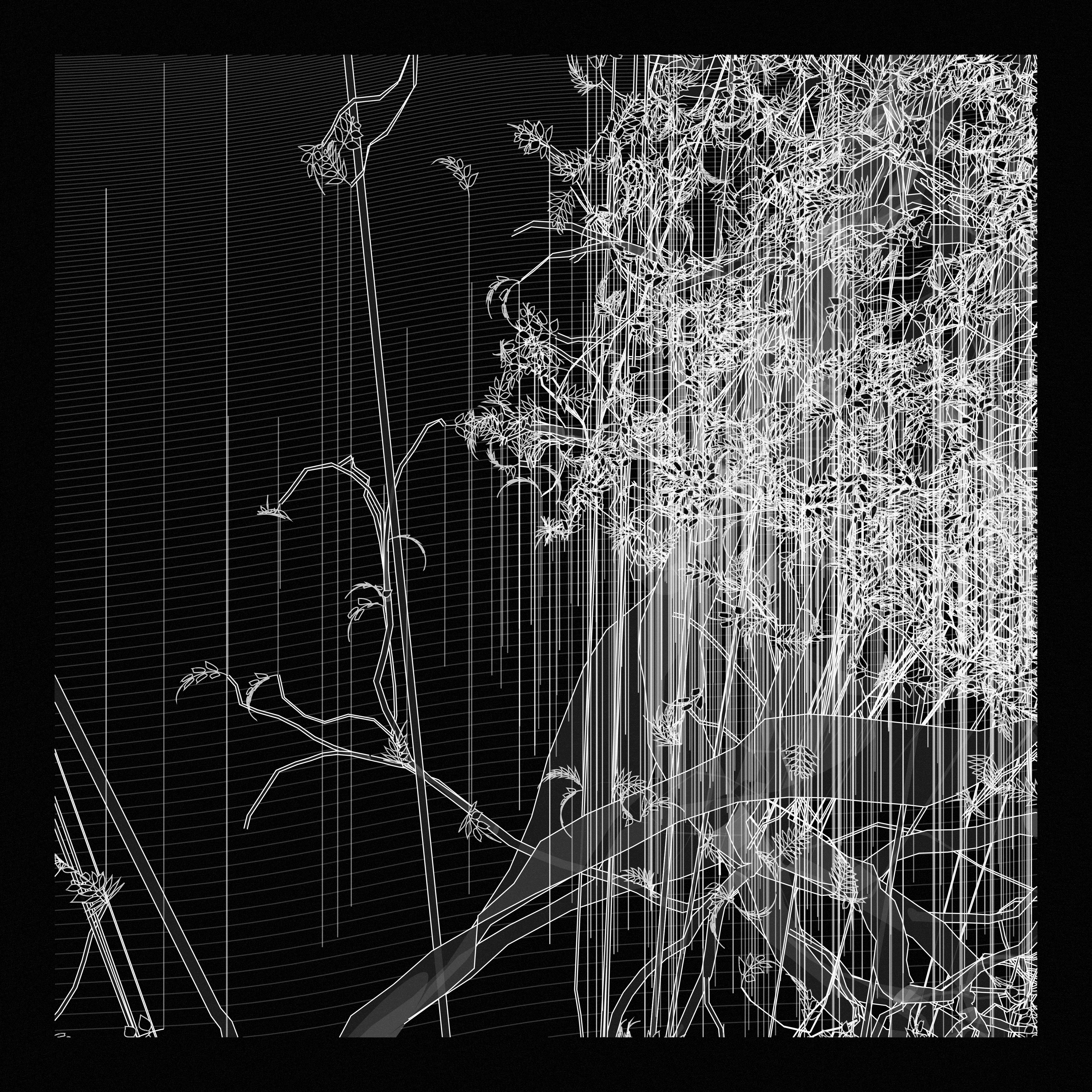 A Bugged Forest #192 static token preview