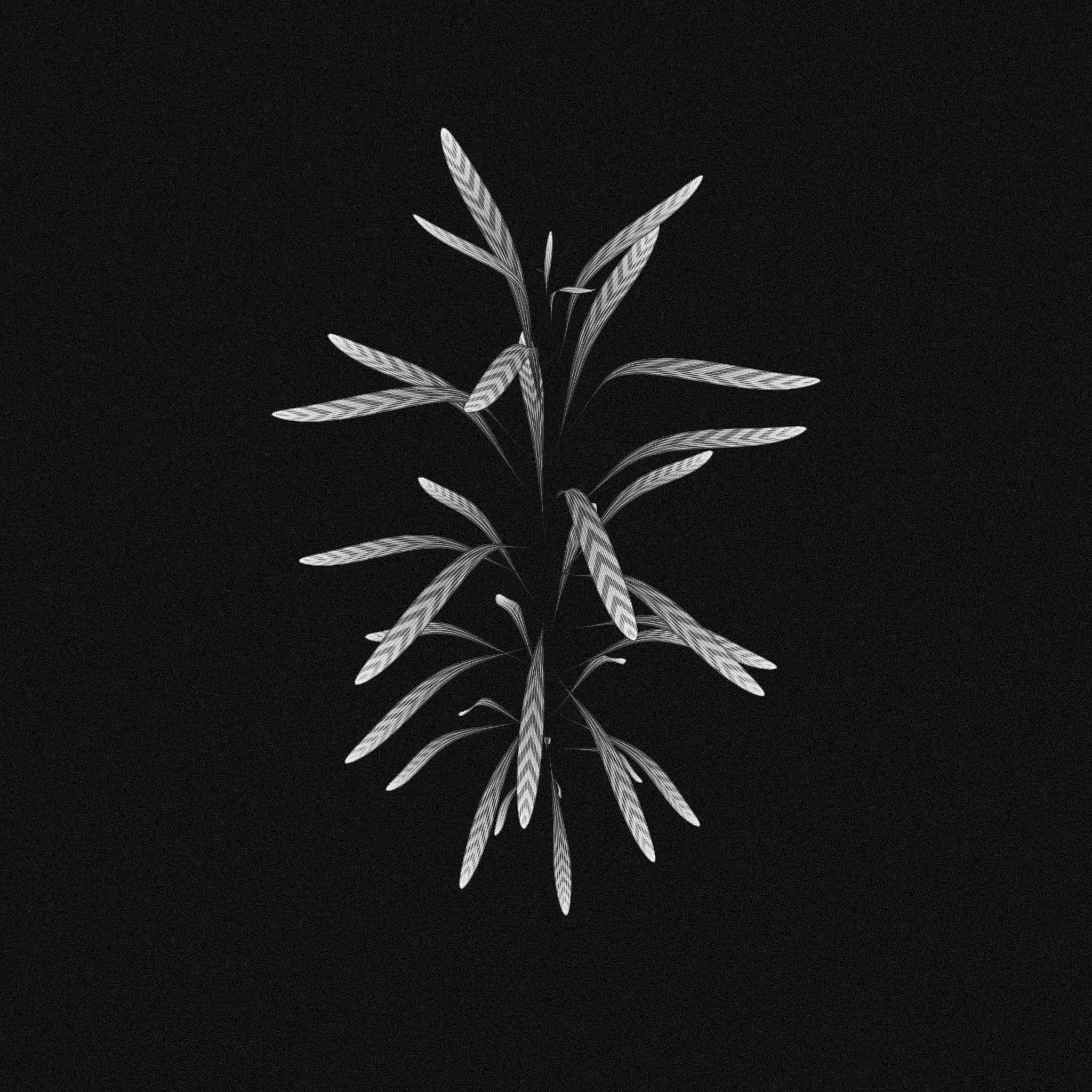plant #38 static token preview