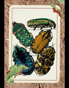 Paper Bugs project preview