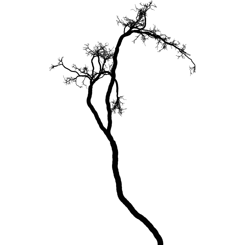 Tree 01 #87 static token preview