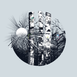 Washed Trees Fluor project preview