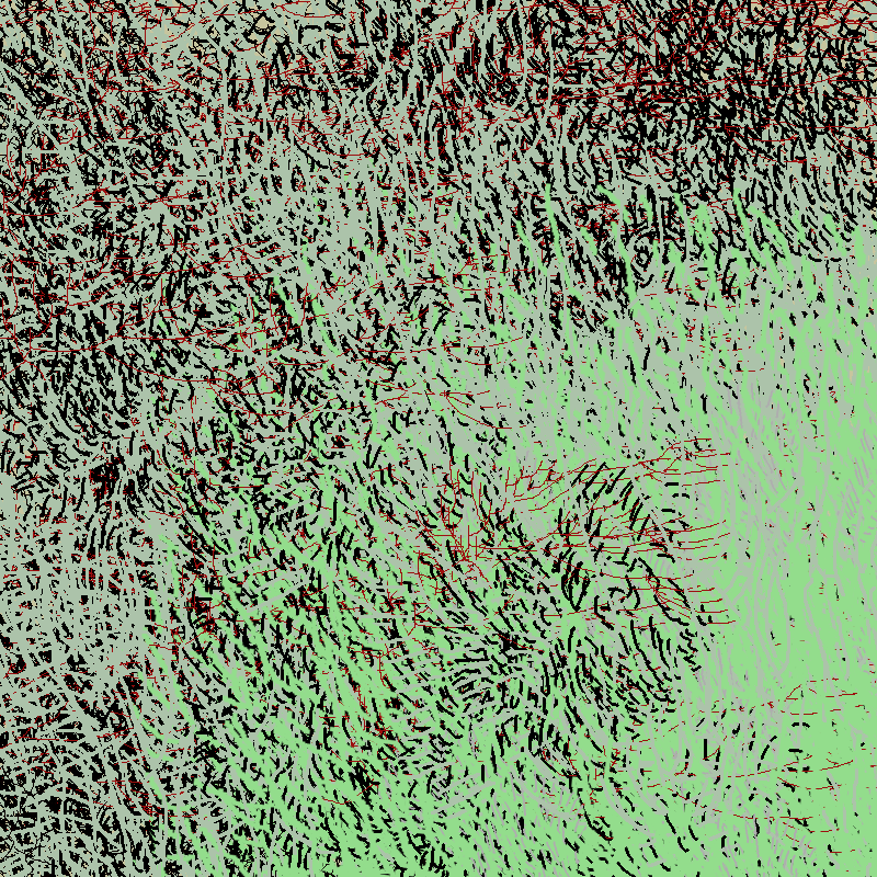 a bird worked on my painting #6 static NFT preview