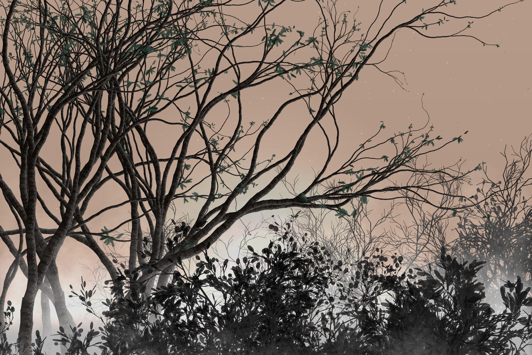 Morning Mist #53 static NFT preview