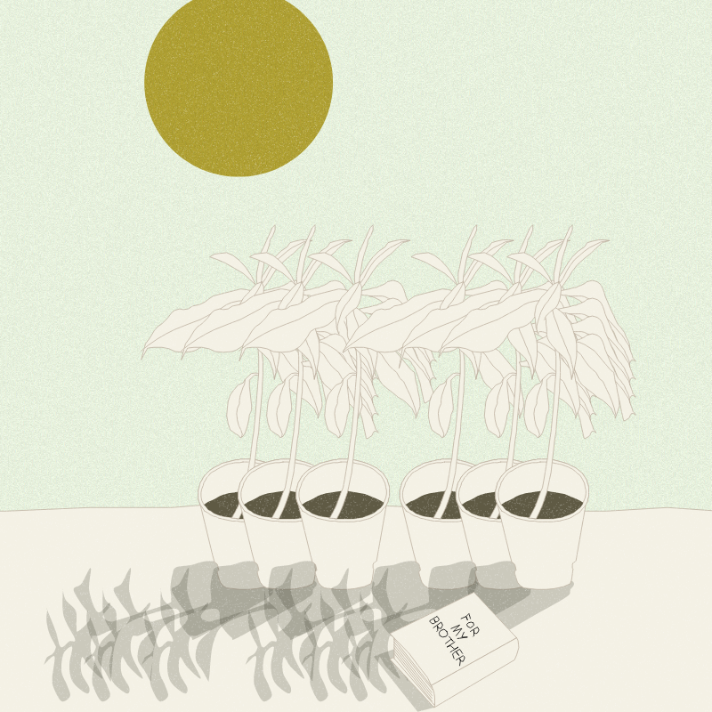 Still Life #12 #6 static token preview