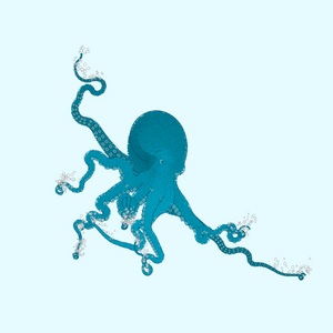 the generative octopuses project preview