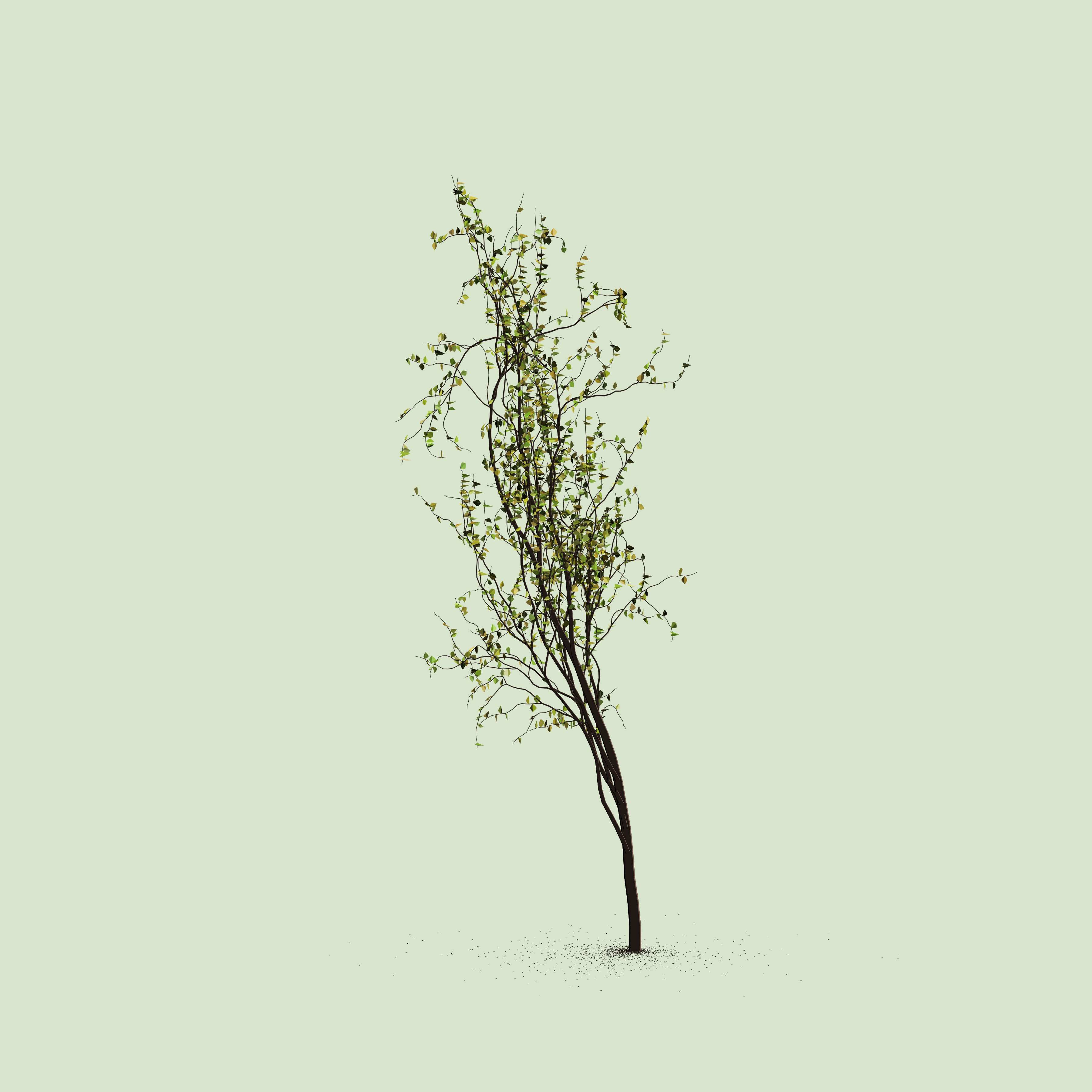 Little Trees #144 static token preview