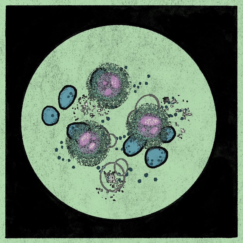 Microbes #17 static token preview