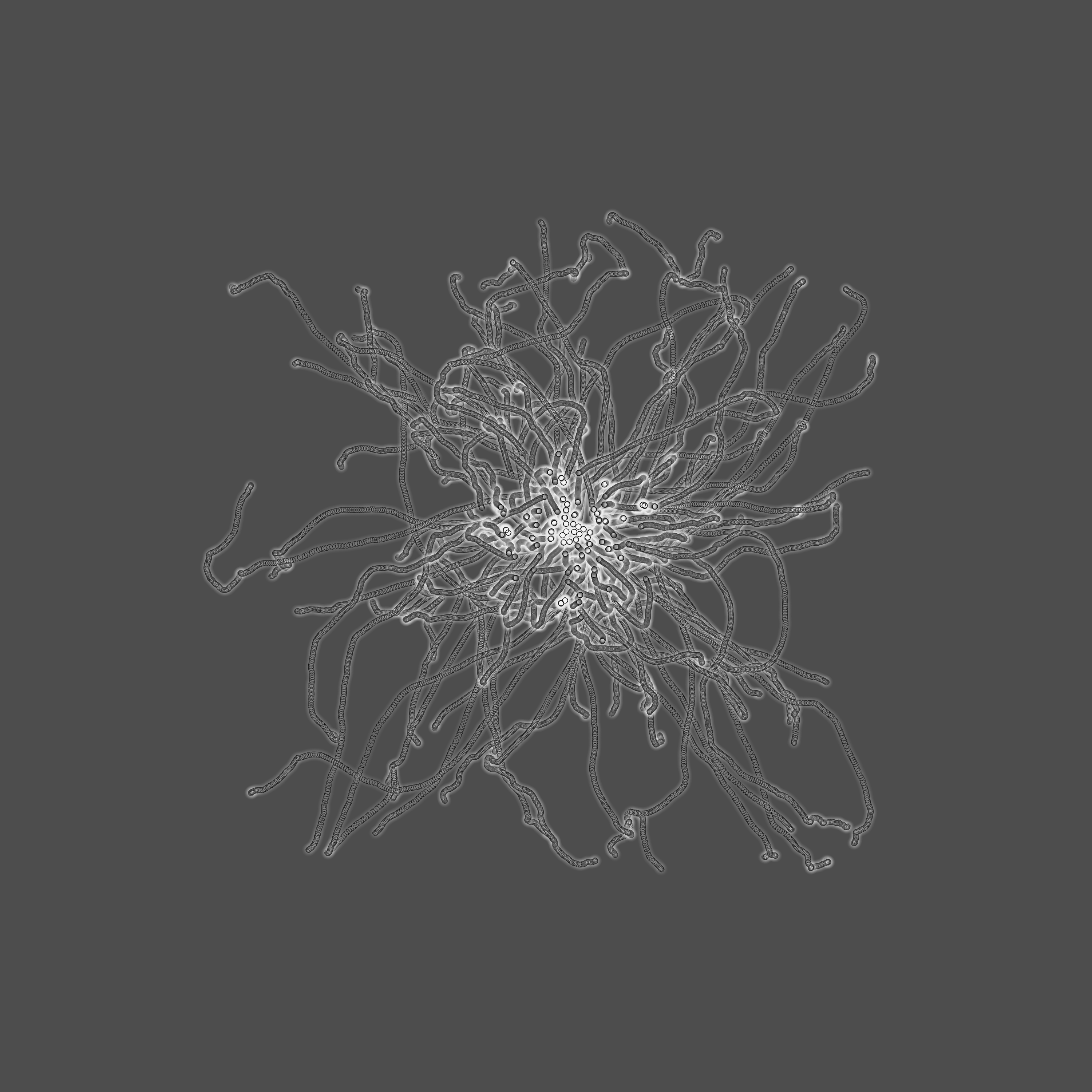 grey fungi wisdom #101 static token preview