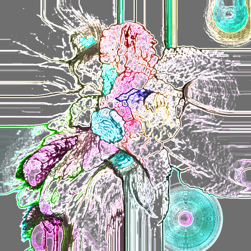 Feedback Paint Brush #26 static token preview