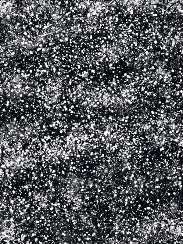 Michordial #48 static NFT preview