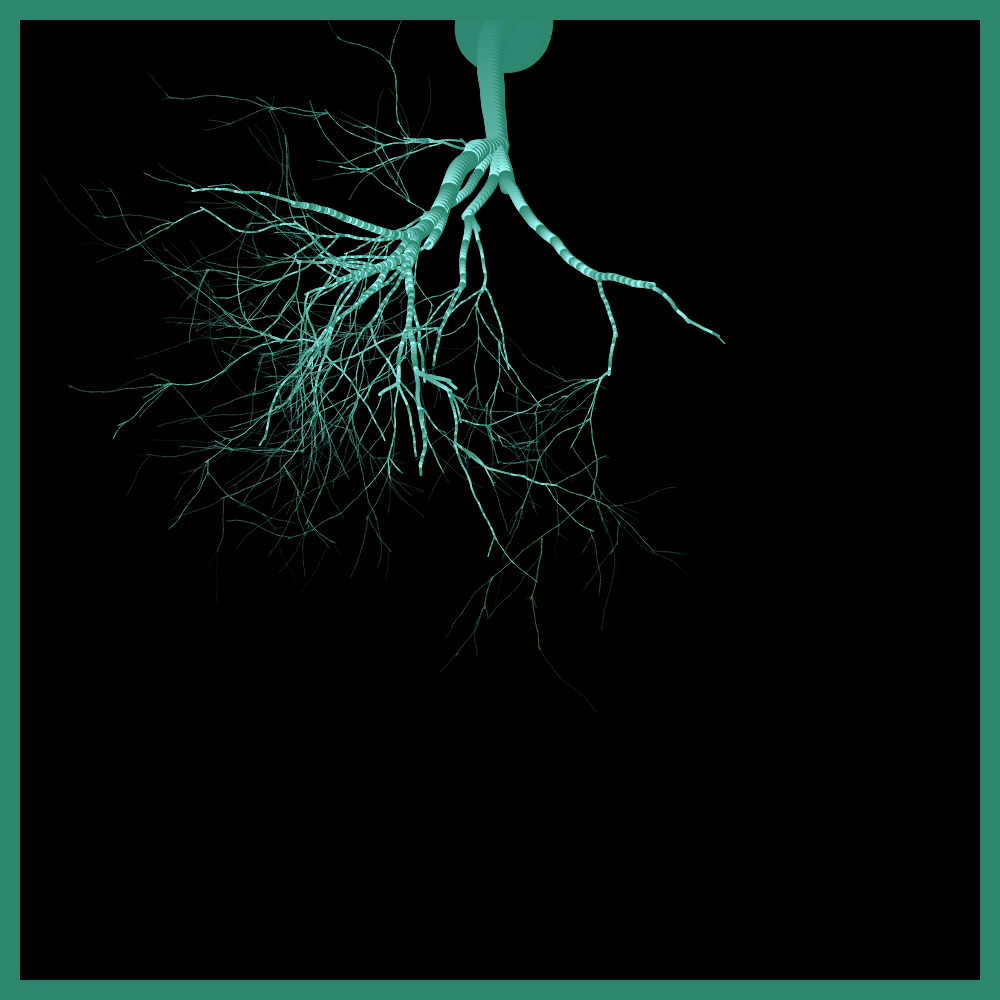 Arbres suspendus #142 static token preview