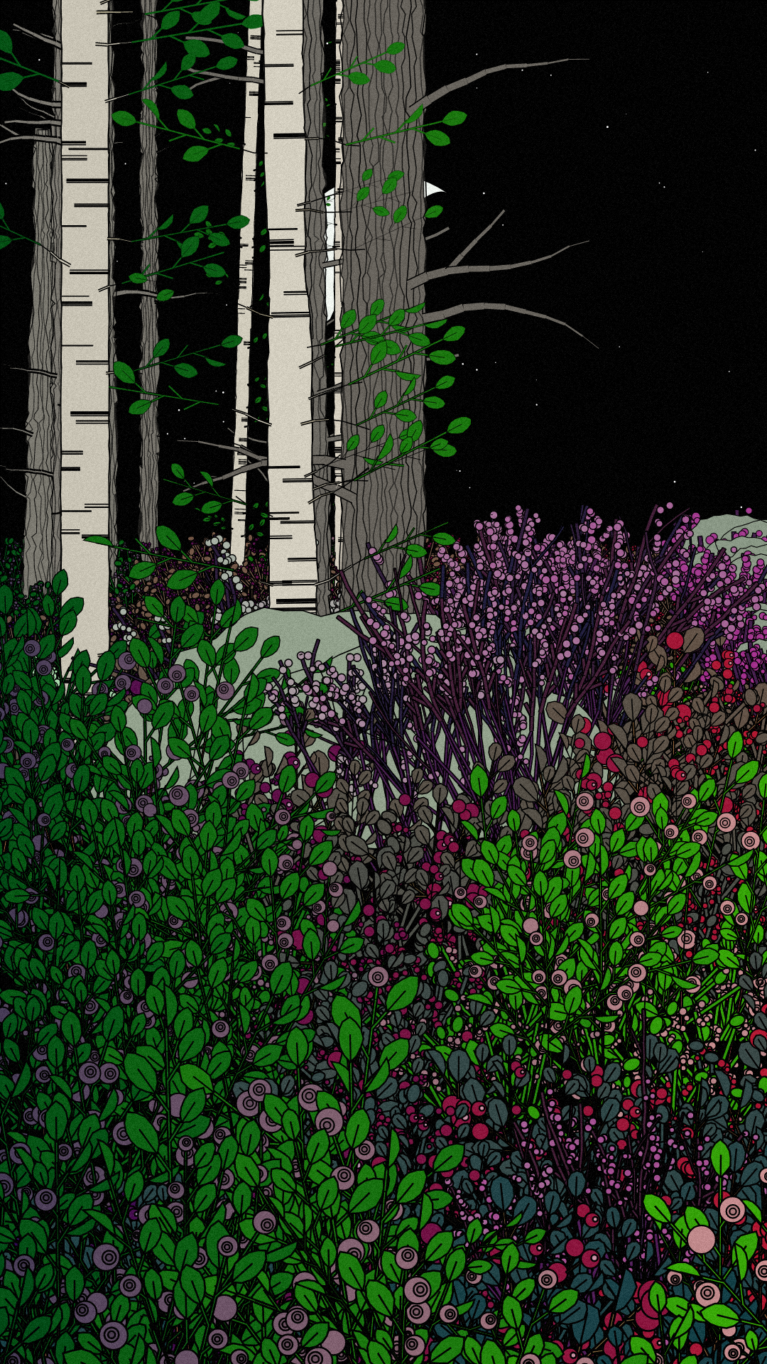 Swedish Forest #36 static NFT preview