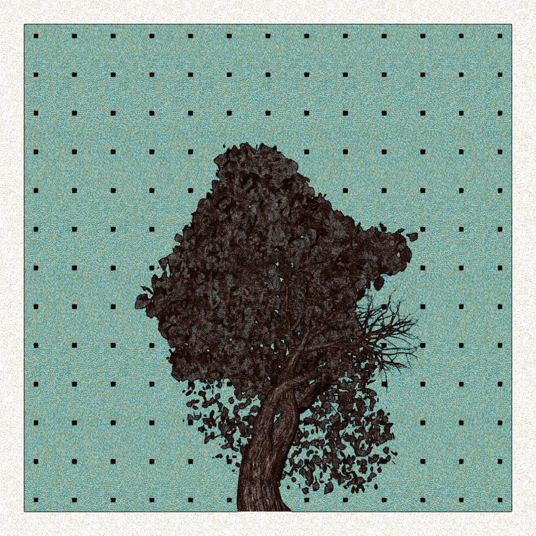 _argania[primaria] #232 static token preview