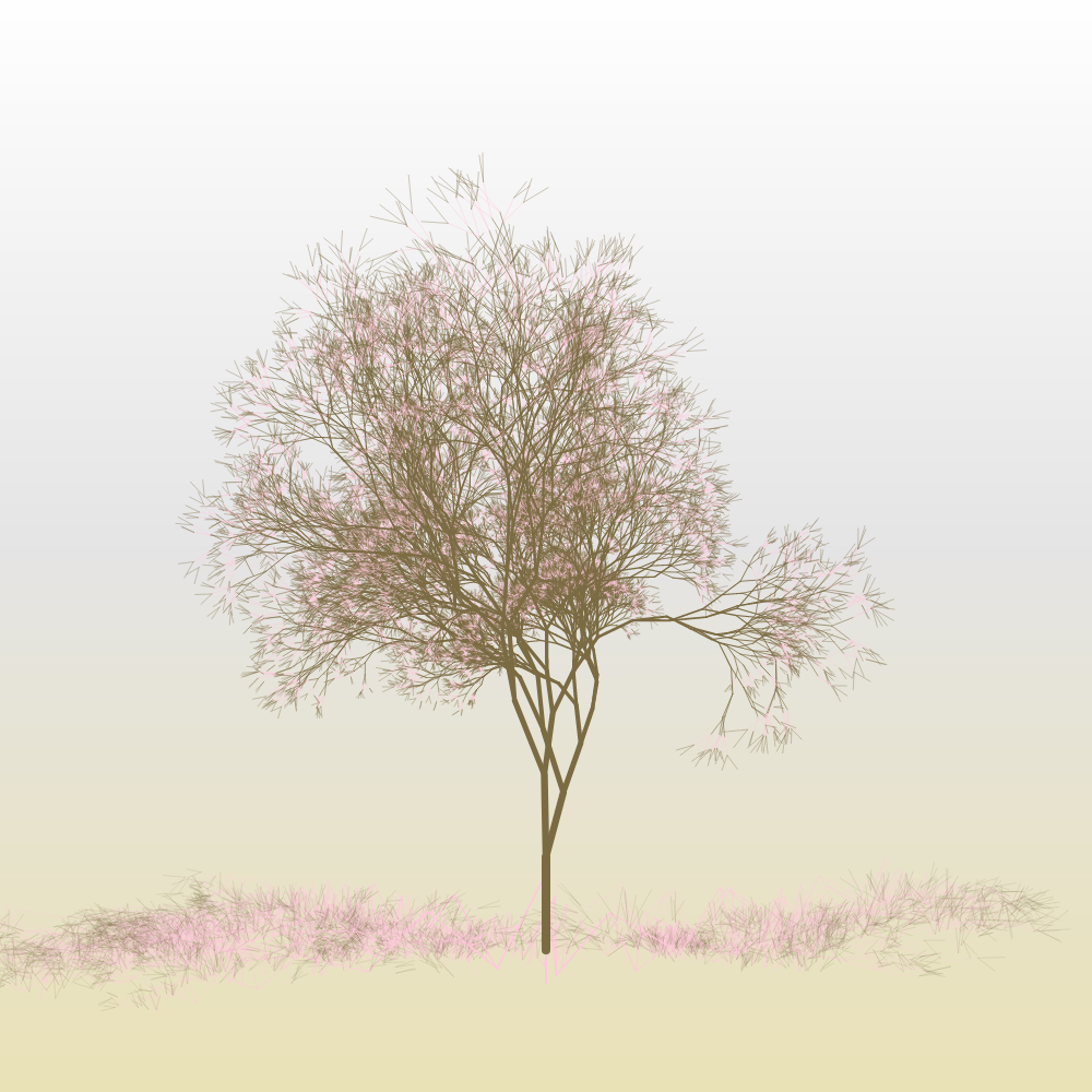 Hanami #27 static token preview