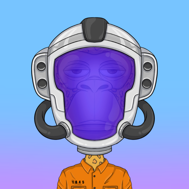 chimpantez #224 static token preview