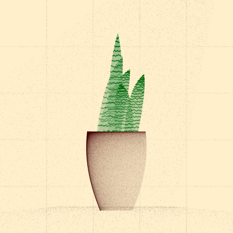 🌱 Potted & Printed #362 static NFT preview