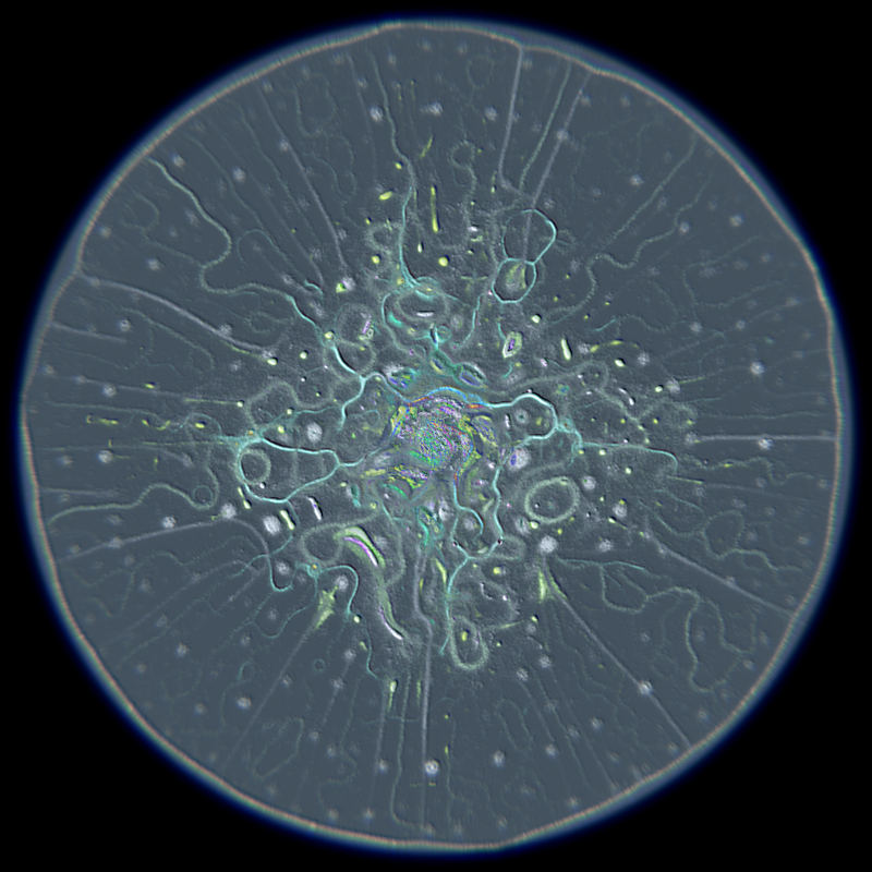 Ethereal Microcosm #19 static NFT preview
