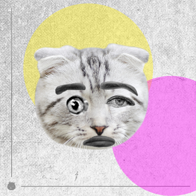Kittenstein #40 static token preview