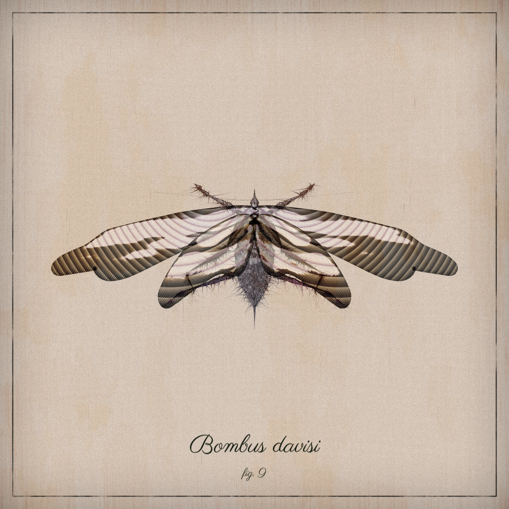 ProcGen Entomology #212 static NFT preview