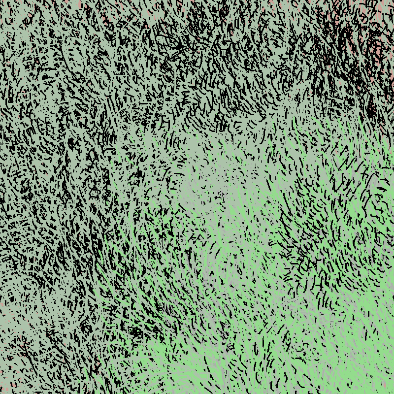 a bird worked on my painting #56 static NFT preview