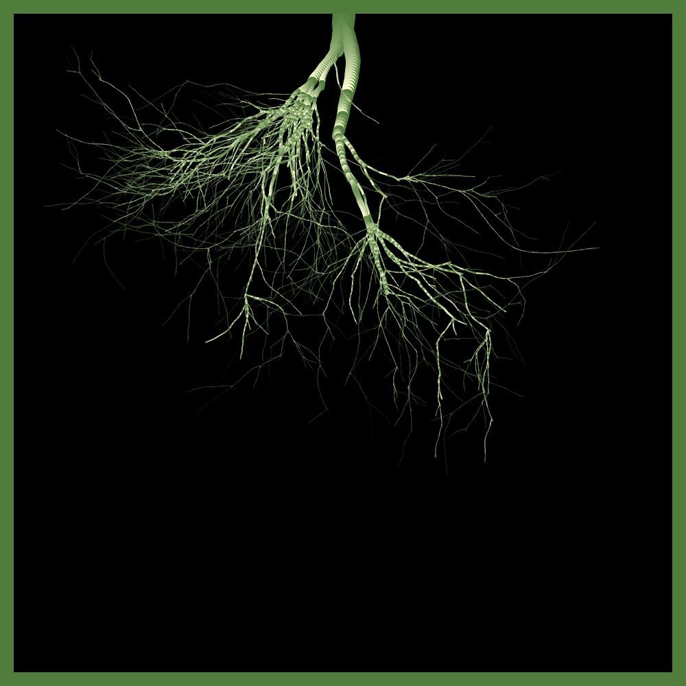 Arbres suspendus #118 static token preview