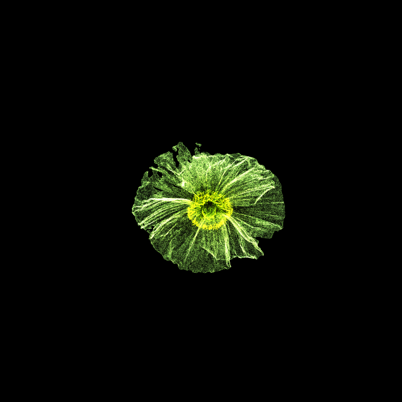 White Poppy 30 #69 static token preview