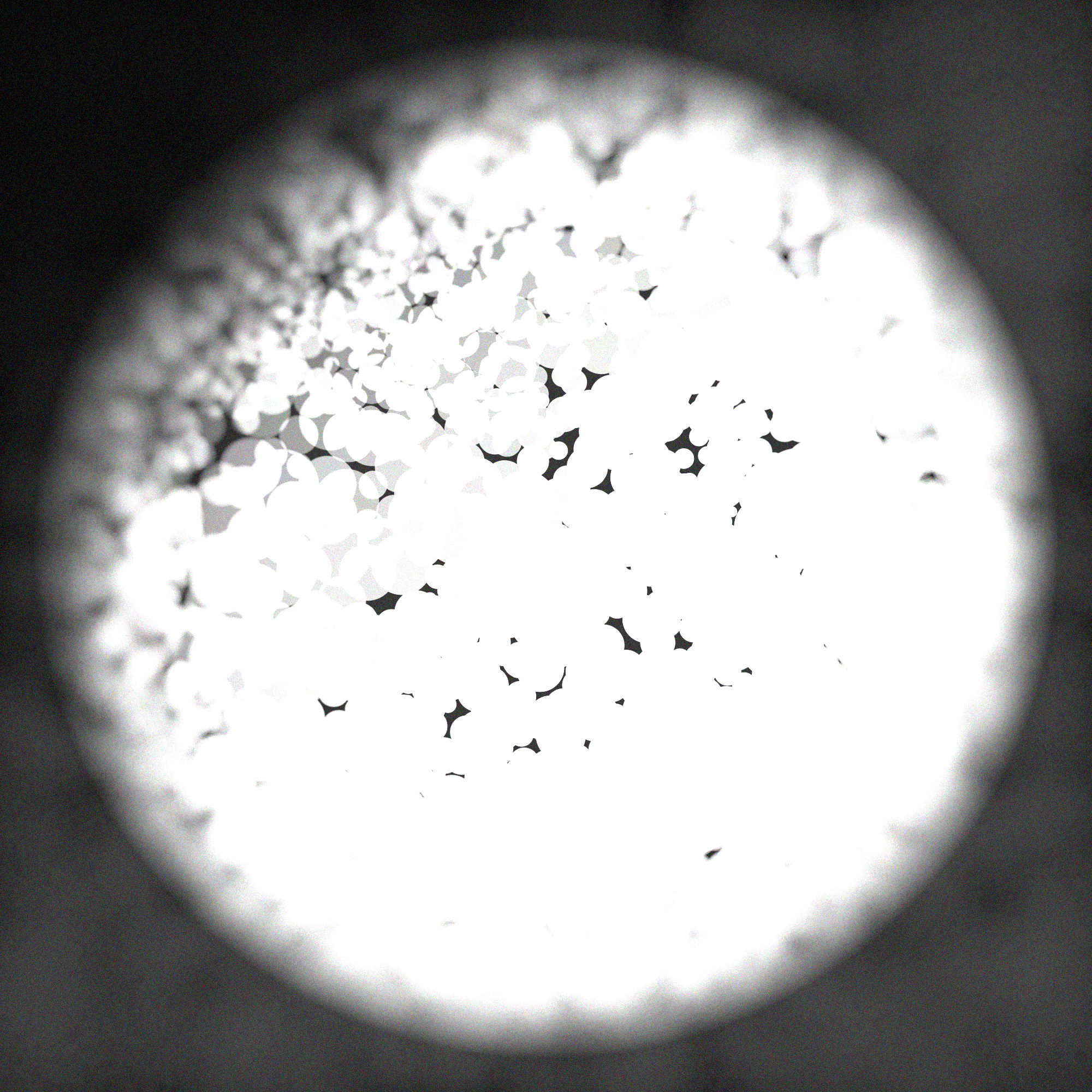 Alles #38 static NFT preview