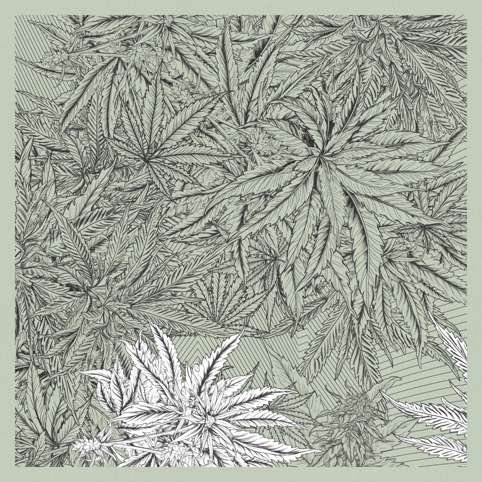 zancannabis #39 static NFT preview