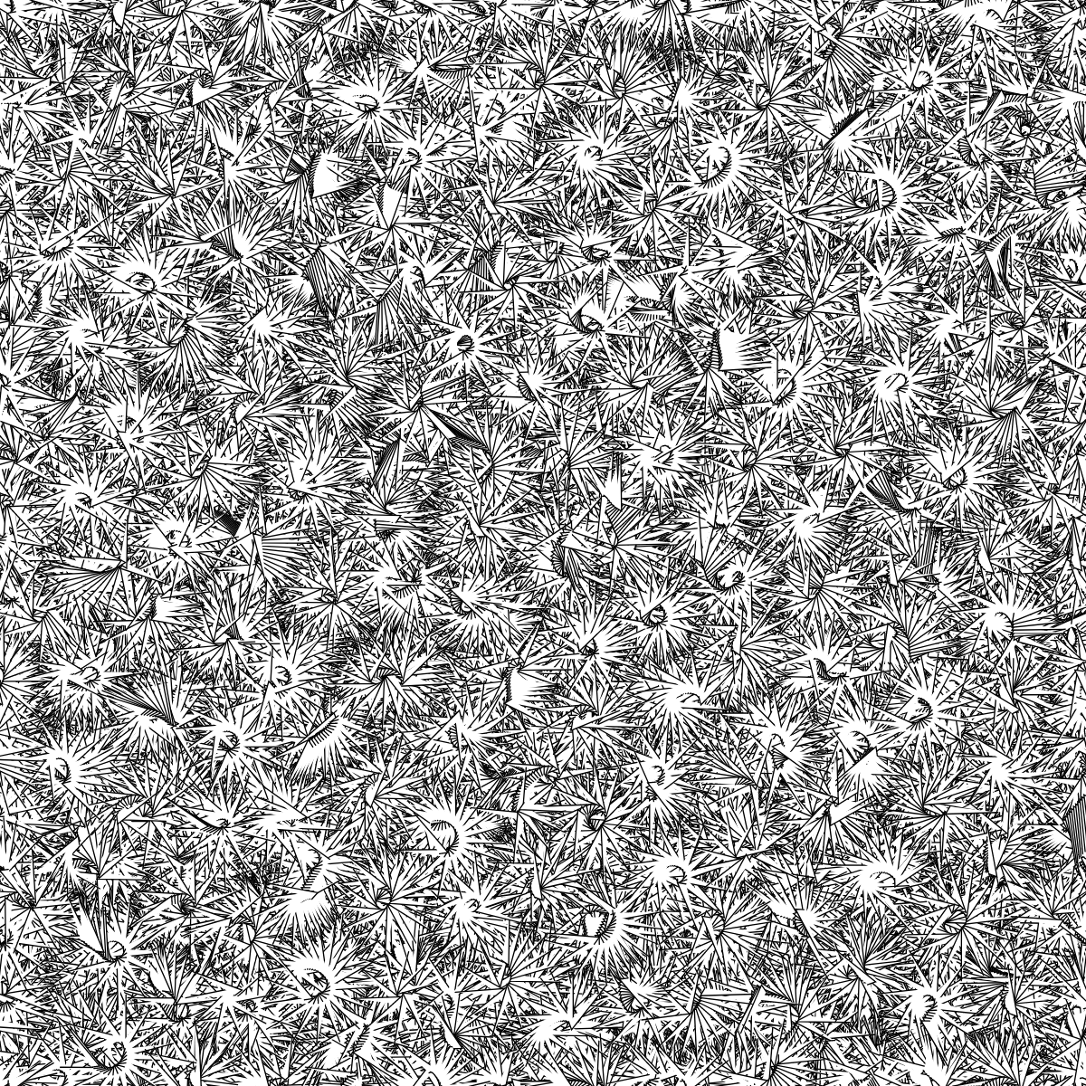 Fantacy Carpet #37 static NFT preview