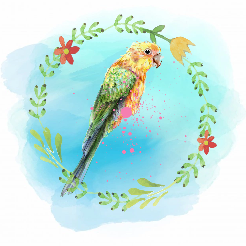 Random Tropical Birds #1 static NFT preview