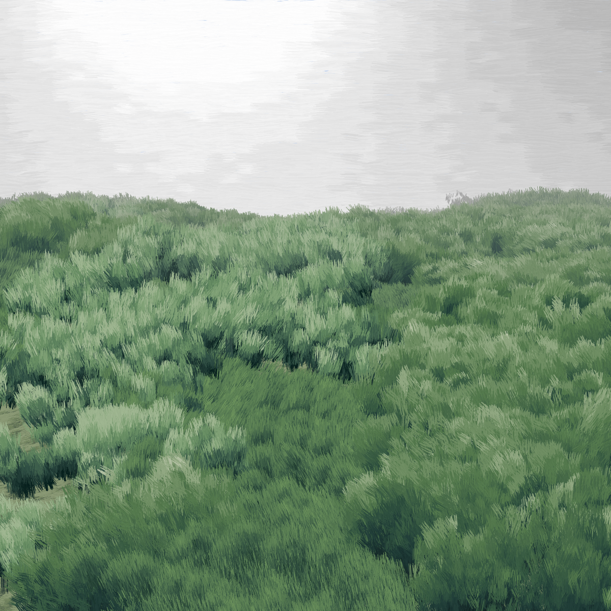 Provence #243 static NFT preview